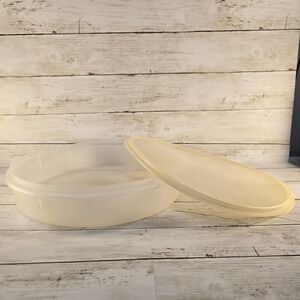 Vintage Tupperware Round Cake Taker Pie Carrier Frosted Sheer Plastic Container